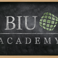 Webinar-Reihe BIU Academy