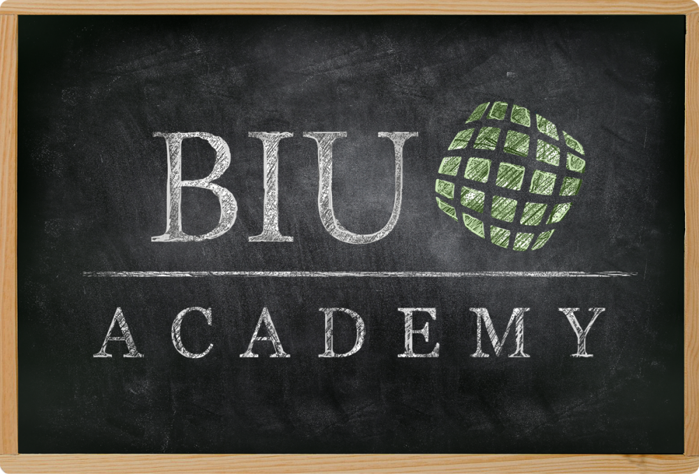 Webinar-Reihe BIU Academy